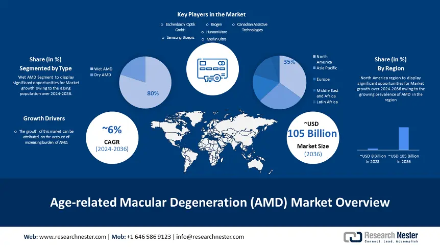 AMD Therapeutics Market